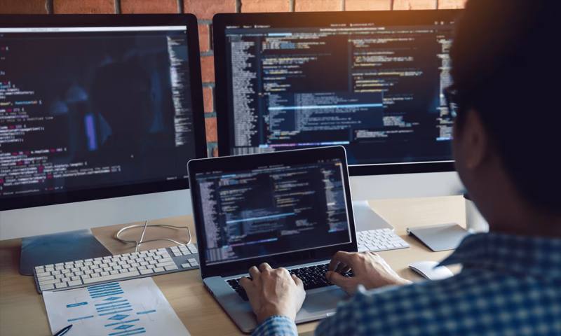 数据科学选型：R与Python如何赋能湖滨区网站建设？